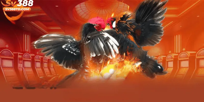 Hướng dẫn đăng nhập SV388 an toàn và nhanh chóng