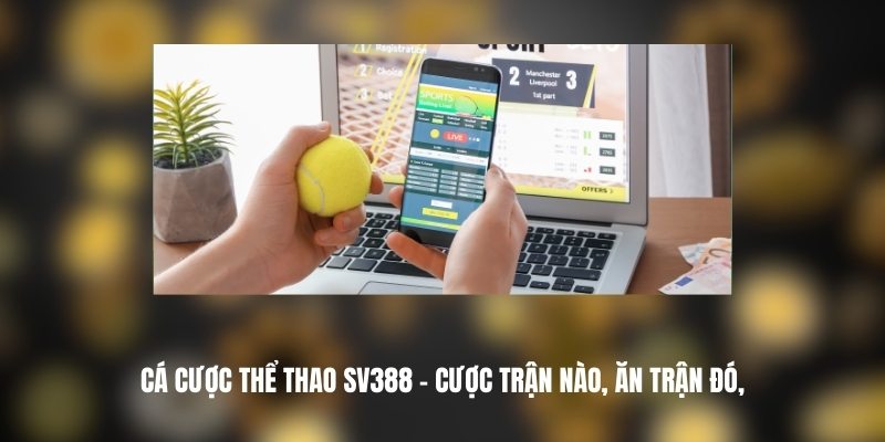 Khám phá sảnh thể thao SV388